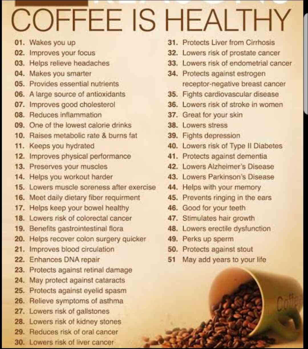 Top Coffee Bean Dealers in Perungudi, Chennai near me Justdial