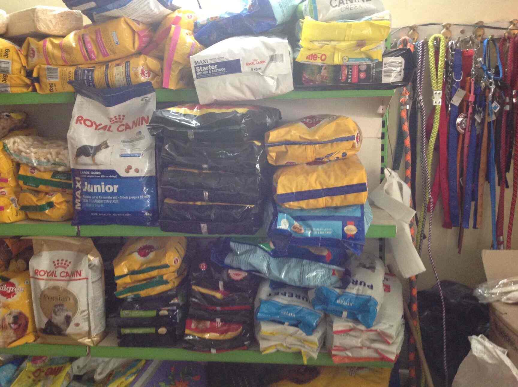 Top Pet Shops For Dog in Chennai Best Pet Supplies Store near me Justdial