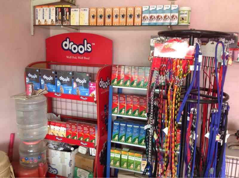 Top Pet Shops For Rabbit in Poonamallee Best Pet Stores For Rabbit