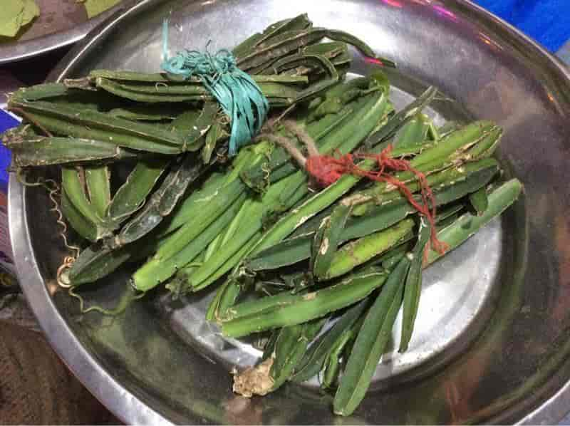 Sundarakani Ammal Nattu Marundhu Kadai in Besant Nagar,Chennai - Best ...