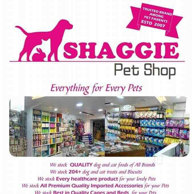 Shaggie Pet Shop, Nandanam Pet Shops in Chennai Justdial