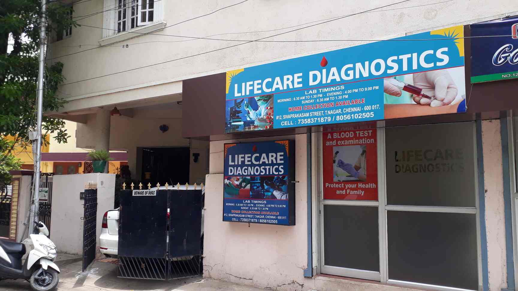 Catalogue Life Care Diagnostics in T Nagar , Chennai Justdial
