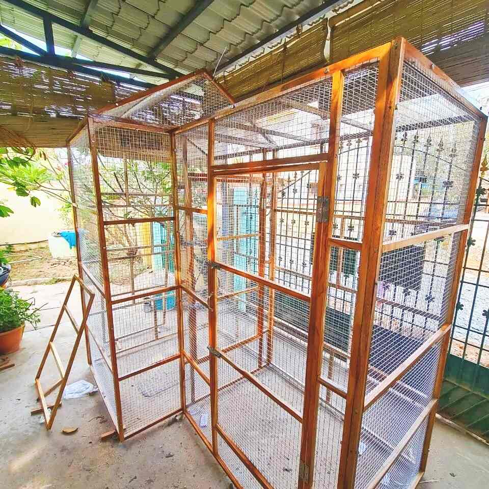 Kavin Pets And Cages in Kovilambakkam,Chennai Best Pet Shops in