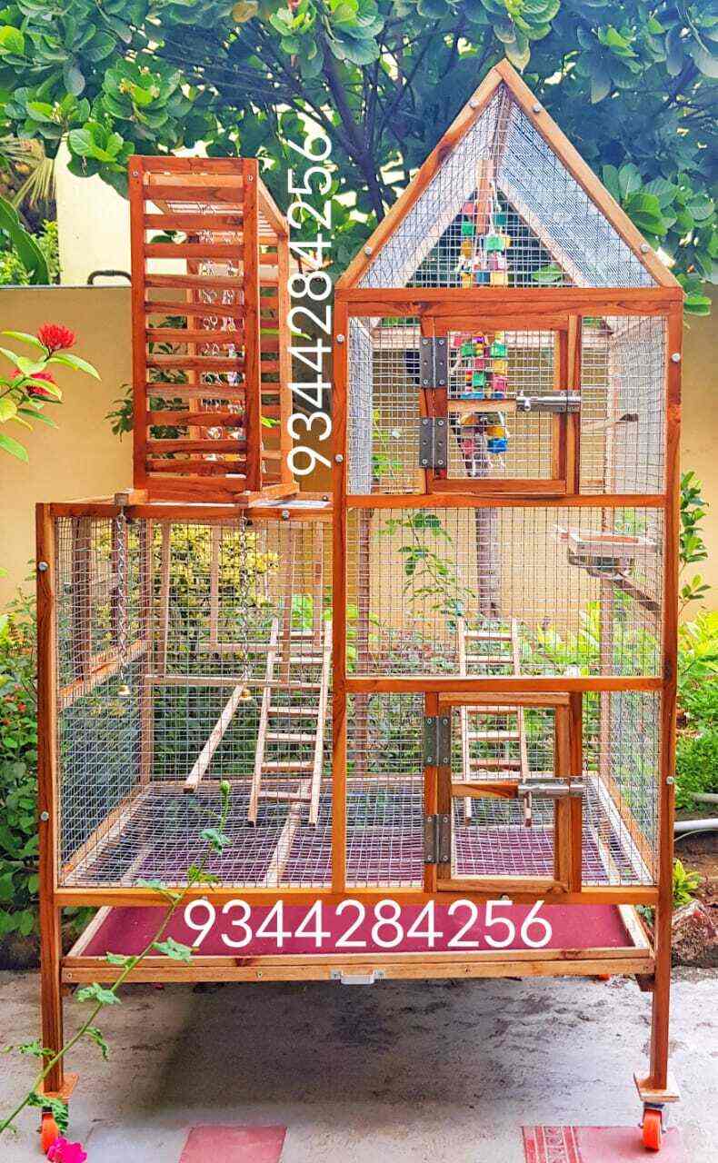 Kavin Pets And Cages in Kovilambakkam,Chennai Best Pet Shops in