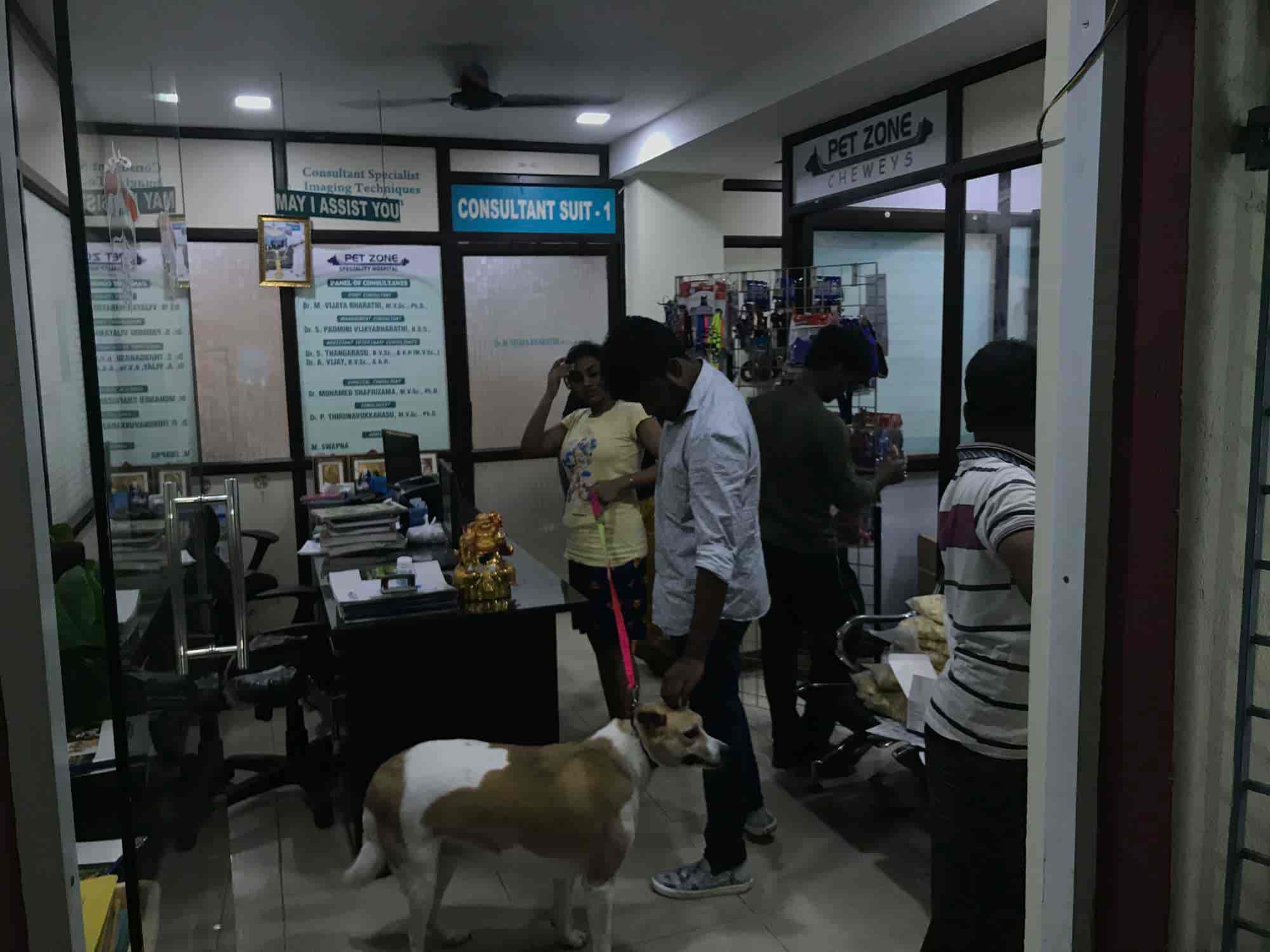 Top Pet Shops For Dog in Chennai Best Pet Supplies Store near me Justdial