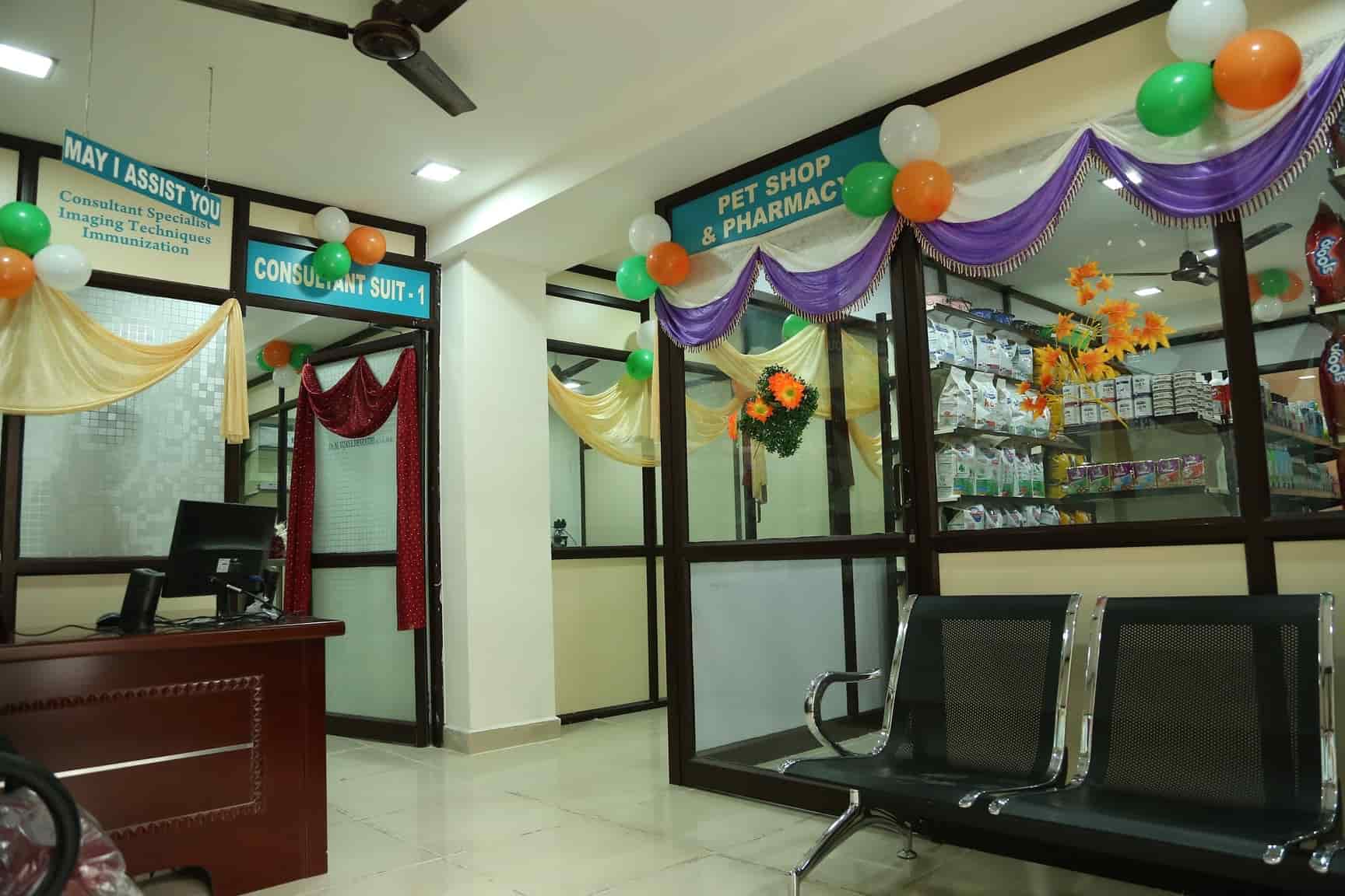 Top Pet Shops For Dog in Chennai Best Pet Supplies Store near me