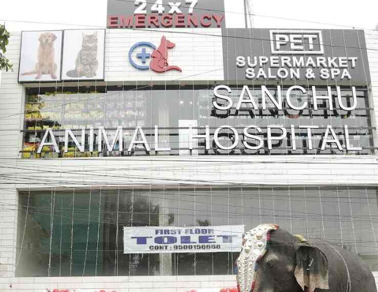 Sanchu Animal Hospital in Anna Nagar,Chennai Book Appointment Online
