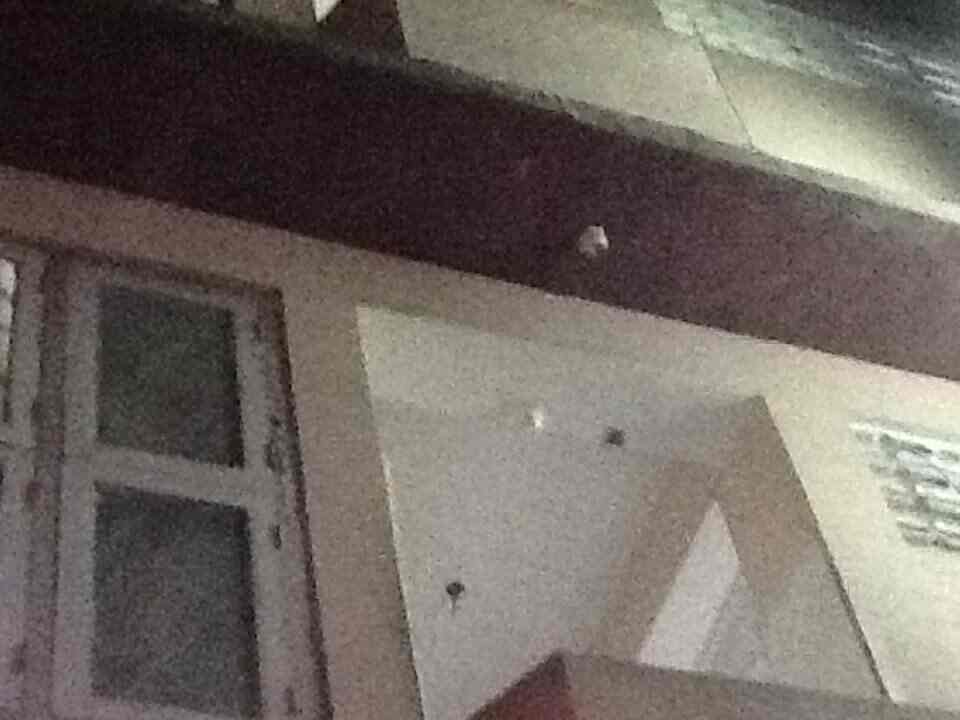 Book Royal Palace in Mount Road,Chennai Best Hotels in Chennai Justdial