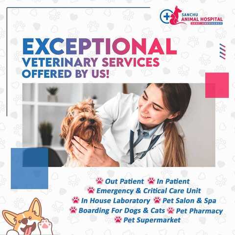 Sanchu Animal Hospital in Adyar,Chennai - Best Animal Welfare Organisations in Chennai - Justdial Sanchu Animal Hospital in Adyar,Chennai - Best Animal Welfare Organisations in Chennai - Justdial