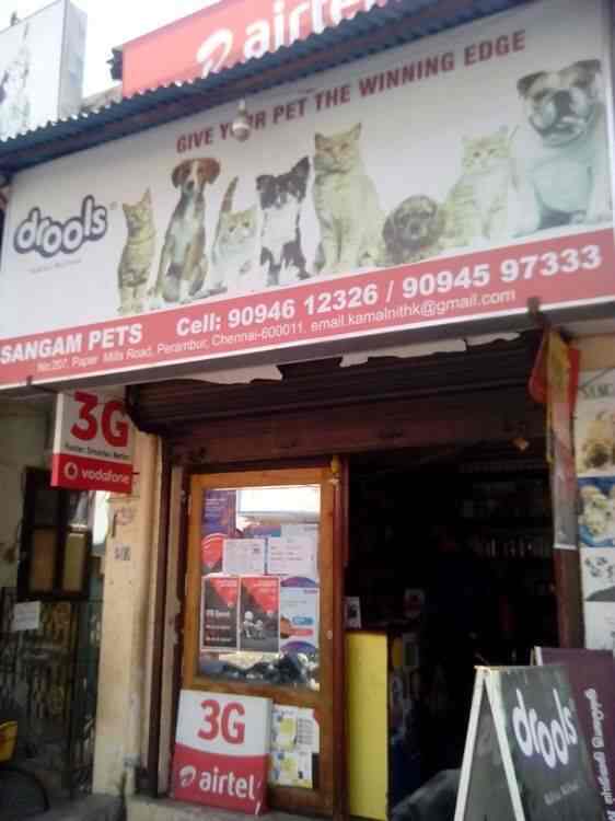 kolathur pet shop