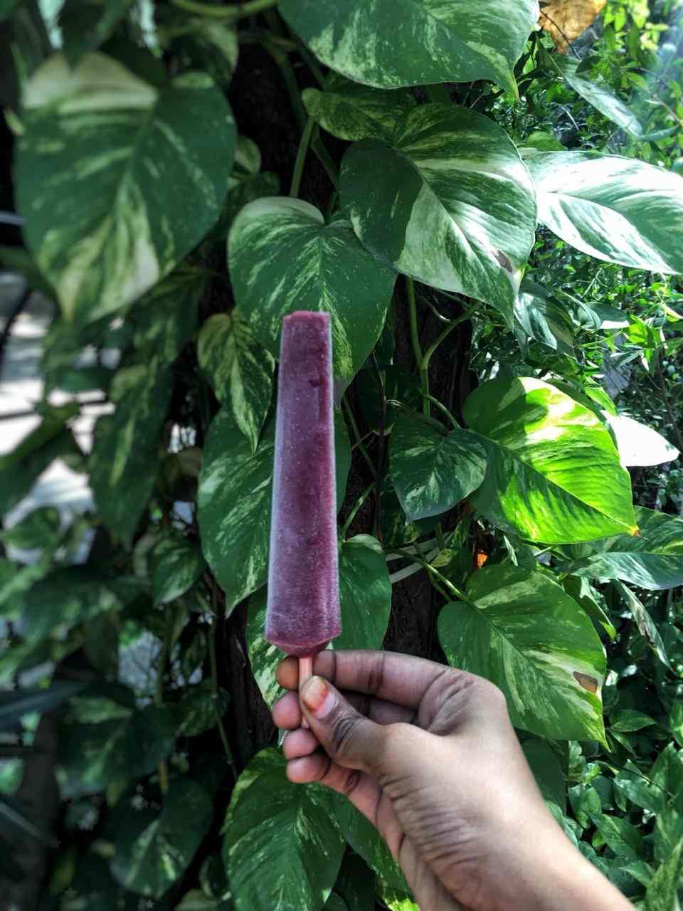 The Perf Ice Candy in Anna Nagar West,Chennai Best Ice Cream