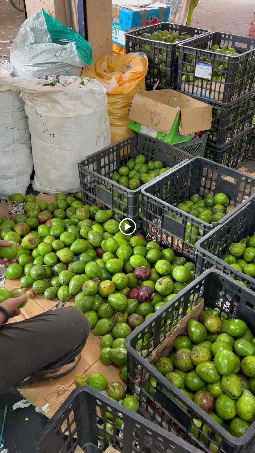 The Perf Ice Candy in Anna Nagar West,Chennai Best Ice Cream