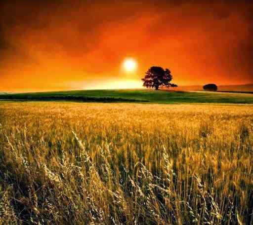 Amudham Property Redhills Estate Agents For Residential Rental In Chennai Justdial