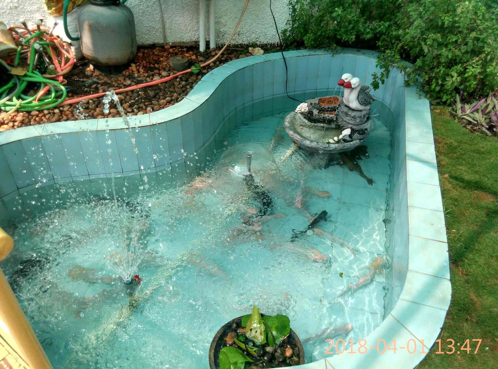 Luxurious Pools and Fountain in Pallavaram,Chennai Best Swimming Pool