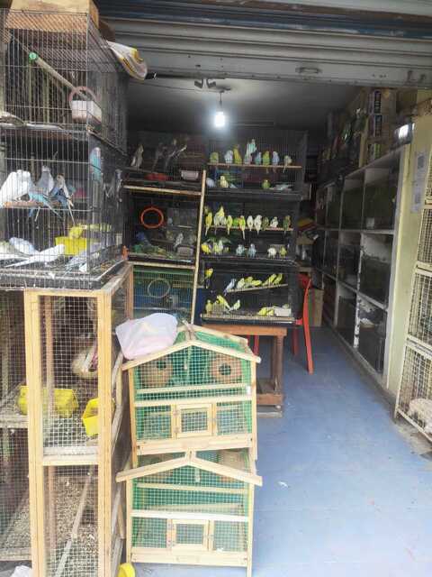 Honey shop pet shop