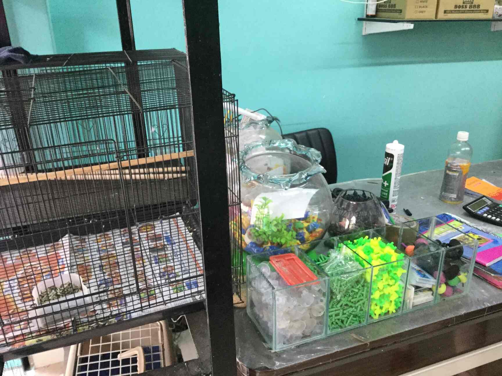 kolathur pet shop