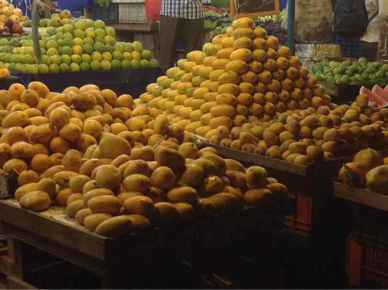 Kottur Garden Mango Market in Tharamani Roadvelacheri,Chennai Best