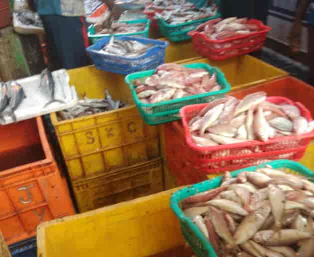 Top Fish Markets near Star Cinema HallTriplicane Best Seafood Market