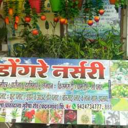 Dongre Nursery Chandangaon Plant Nurseries In Chhindwara Dongre Nursery Chandangaon Plant Nurseries In Chhindwara