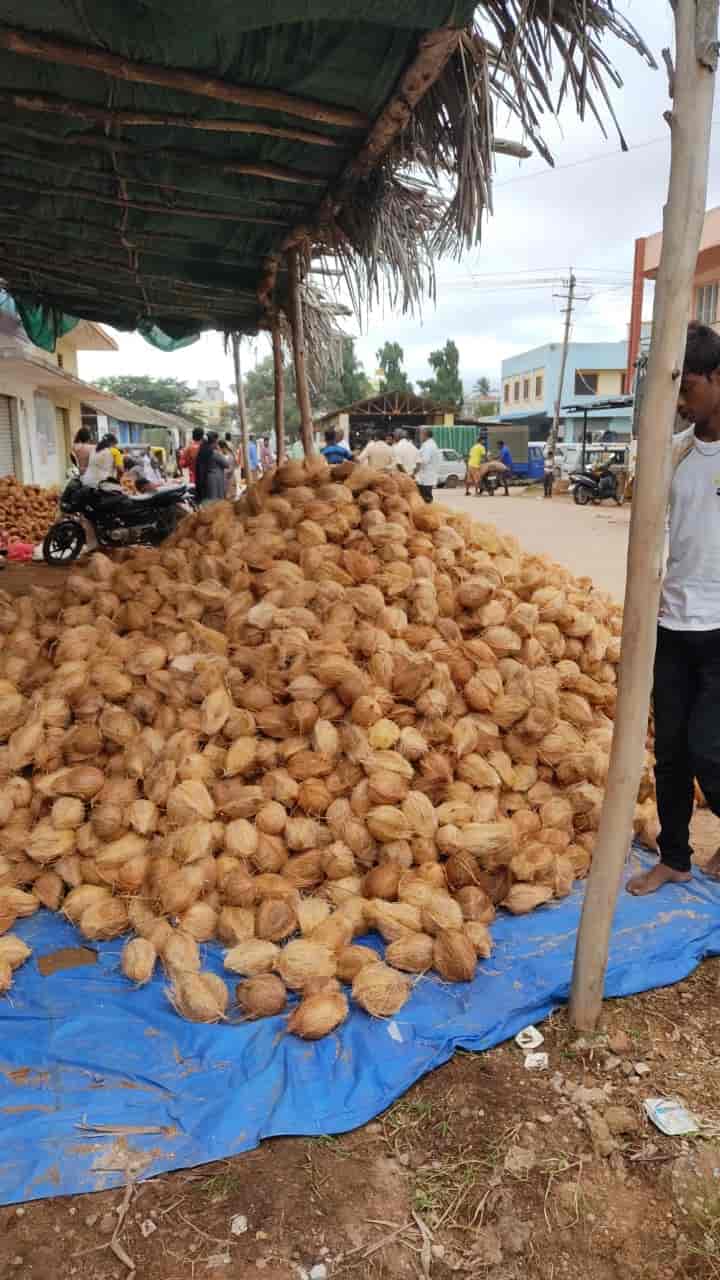 Top Coconut Wholesalers in Moodbidri Best /b2b/food And Beverages