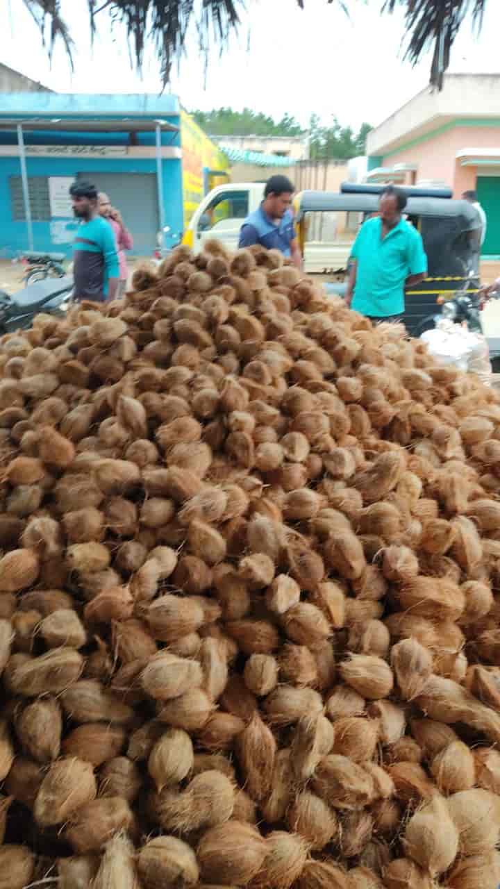 Top Coconut Wholesalers in Moodbidri Best /b2b/food And Beverages