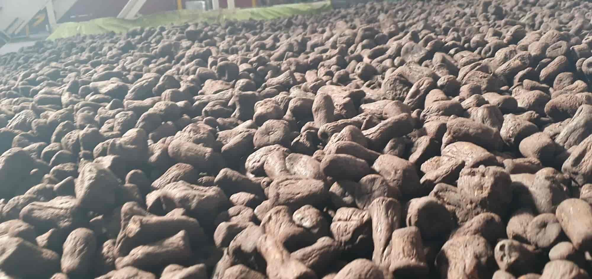 Top Coffee Bean Wholesalers in Wayanad कॉफ़ी बीन व्होलेसलेर्स, वायनाड