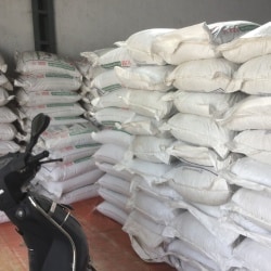 SKM Animal Feeds And Foods Ind in Greams Pet, Chittoor SKM Animal Feeds And Foods Ind in Greams Pet, Chittoor