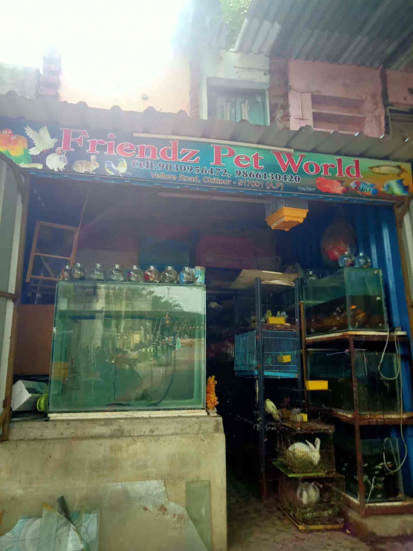 Friends discount pet world