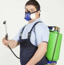 bherunath-pest-control-service-chittorgarh-pest-control-services-3l48p-250.jpg