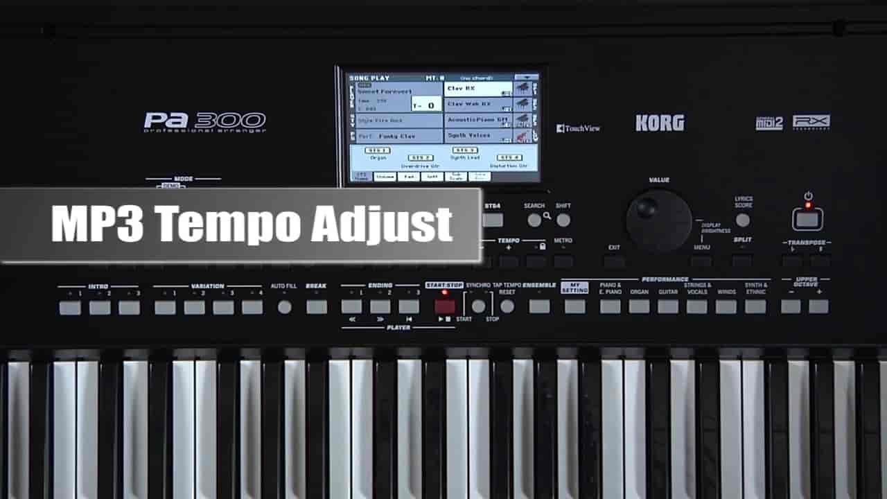 Top Cajon Dealers in Kottayam near me Justdial