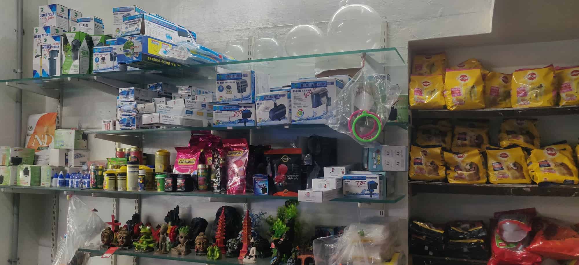 Nemo Pets in Papanaickenpalayam,Coimbatore Best Pet Care Takers in Coimbatore Justdial