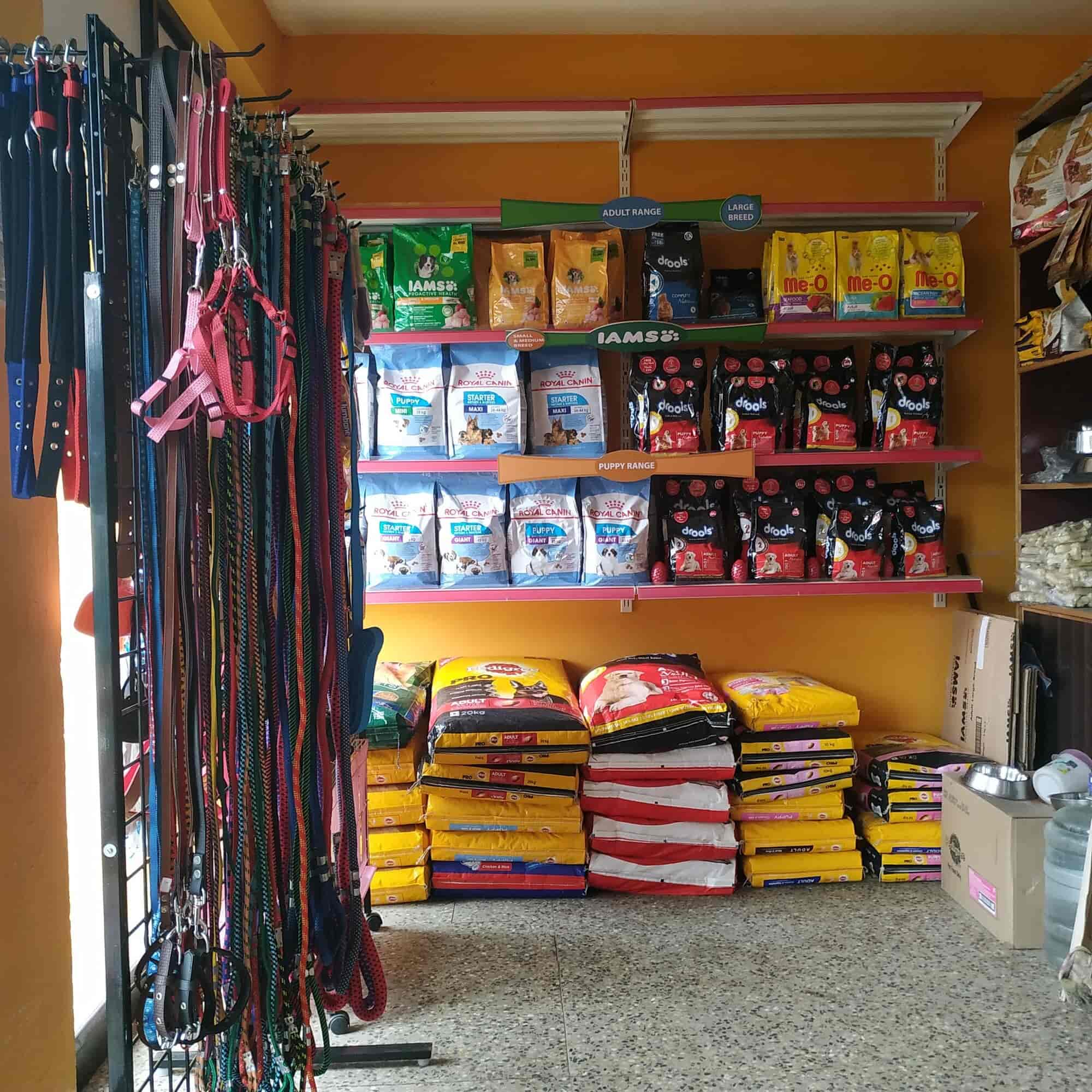 Coimbatore Golden Pets in Ganapathy Coimbatore Best Pet Shops