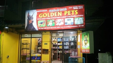 Pet outlets 2025 near me