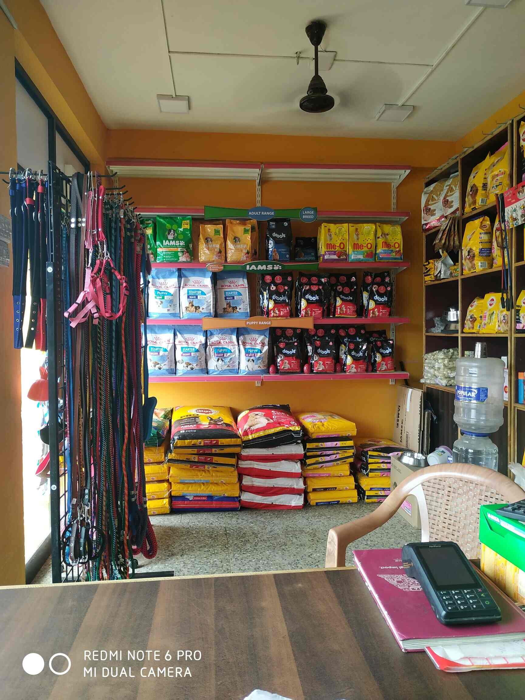 Top Pet Shops in Coimbatore Best Pet Store near me Justdial