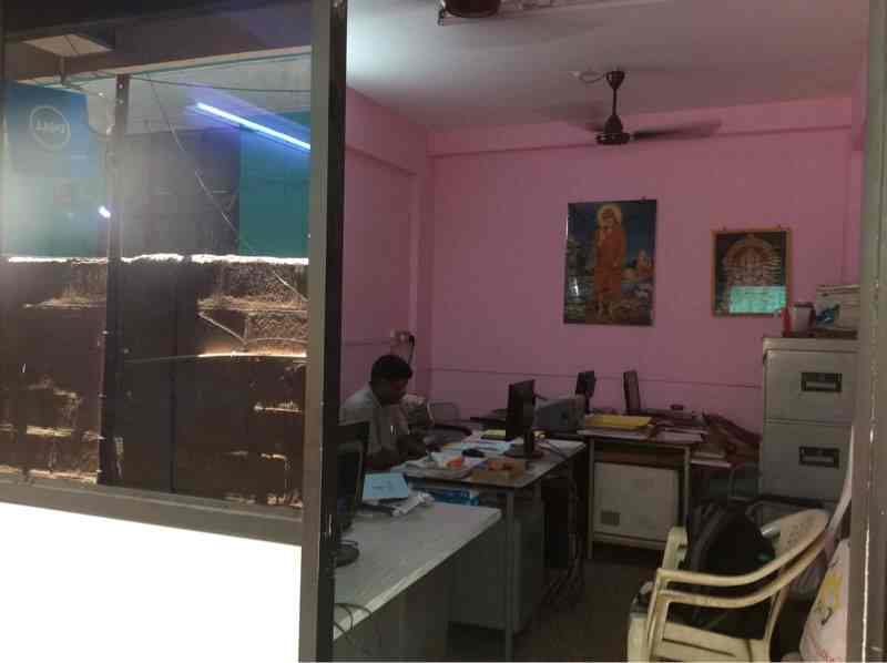 The Professional Accounting Services