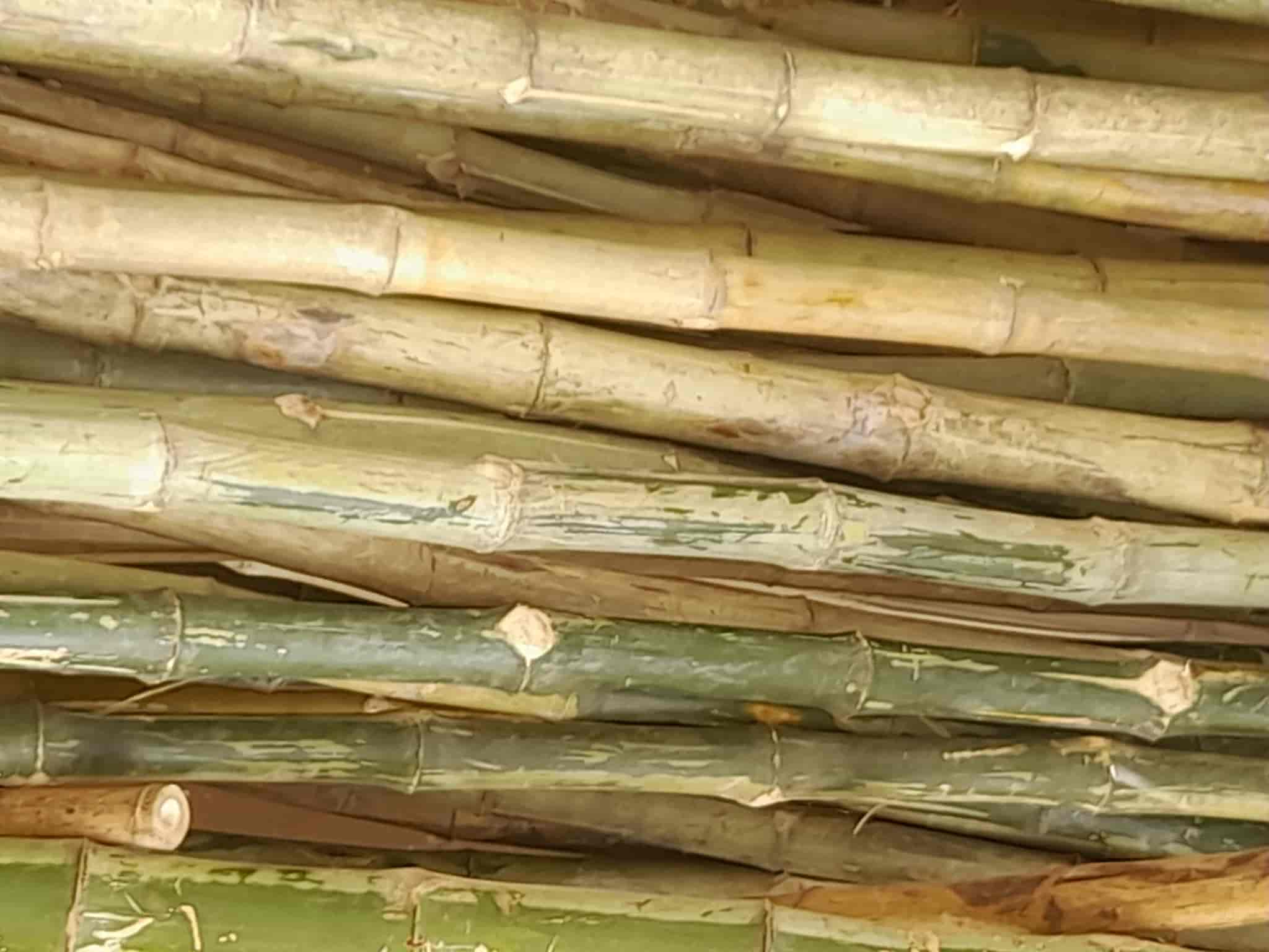 Top Bamboo Furniture Manufacturers in Mogappair Best Bamboo Furniture