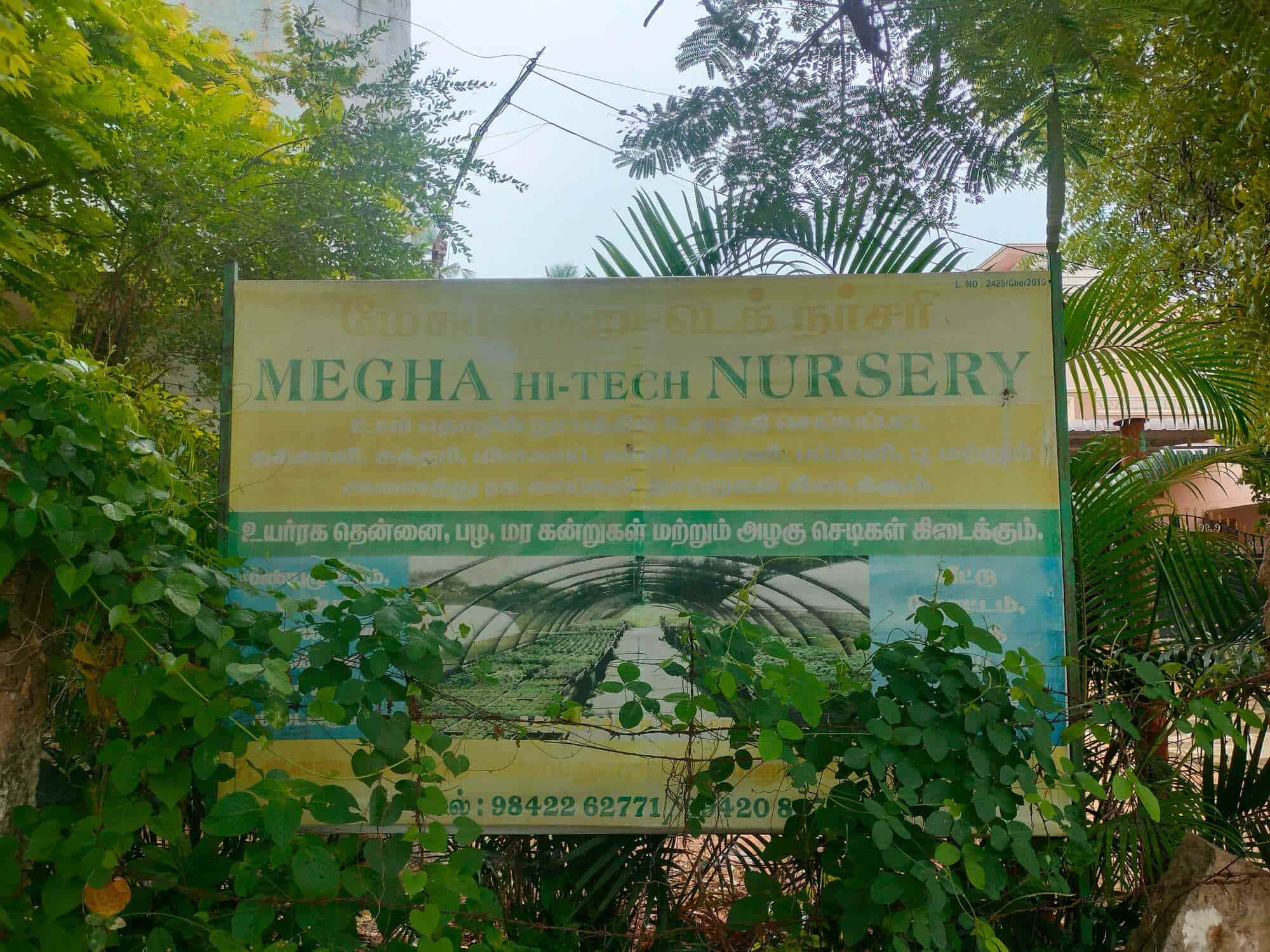 Megha HiTech Nursery in Kalayanur,Coimbatore Best Plant Nurseries in