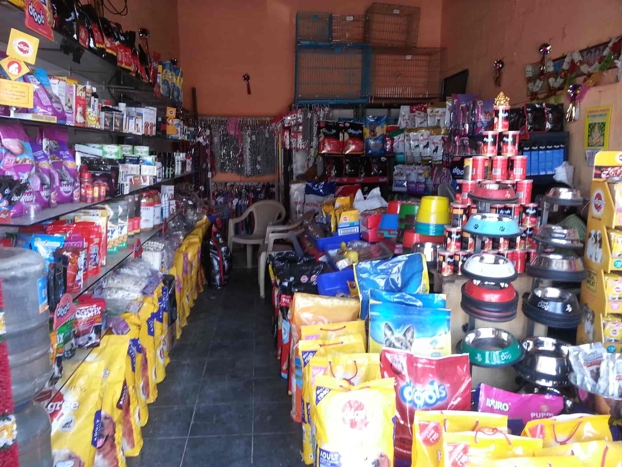 Top Pet Shops in Coimbatore Best Pet Store near me Justdial