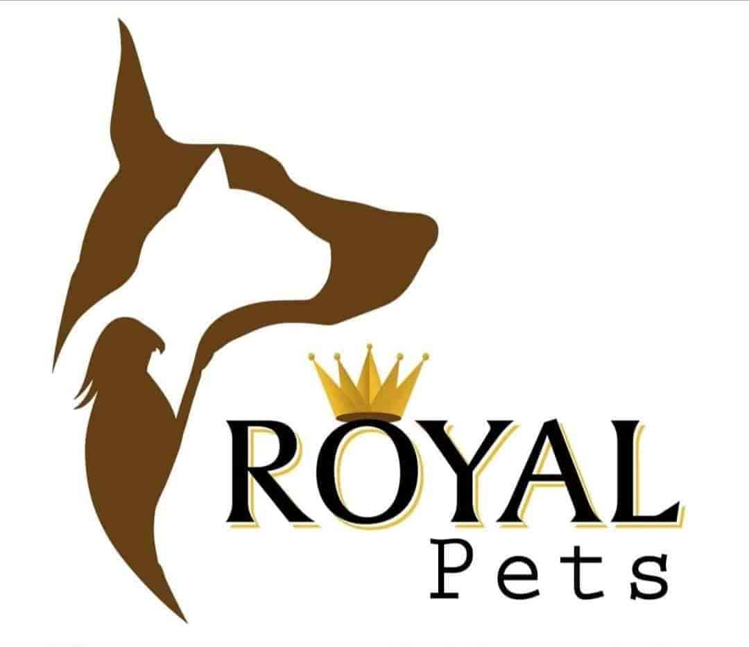 Top Pet Shops in Coimbatore Best Pet Store near me Justdial