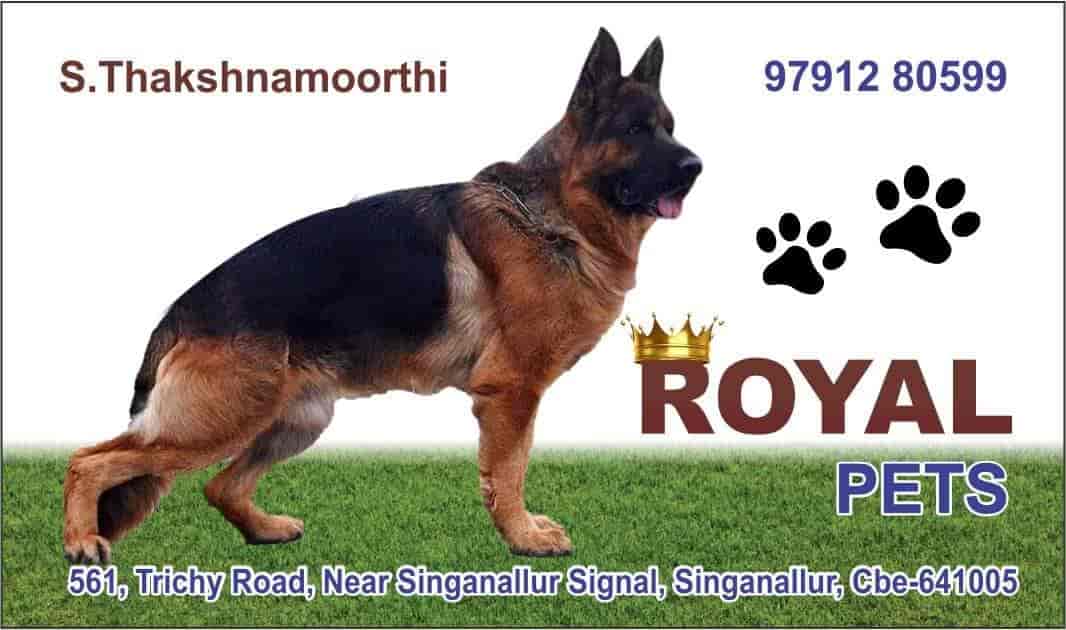 Top Pet Shops in Coimbatore Best Pet Store near me Justdial