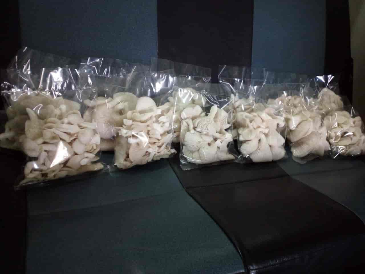 Catalogue Farm Fresh Vegetables in Agraharasamakulam , Coimbatore