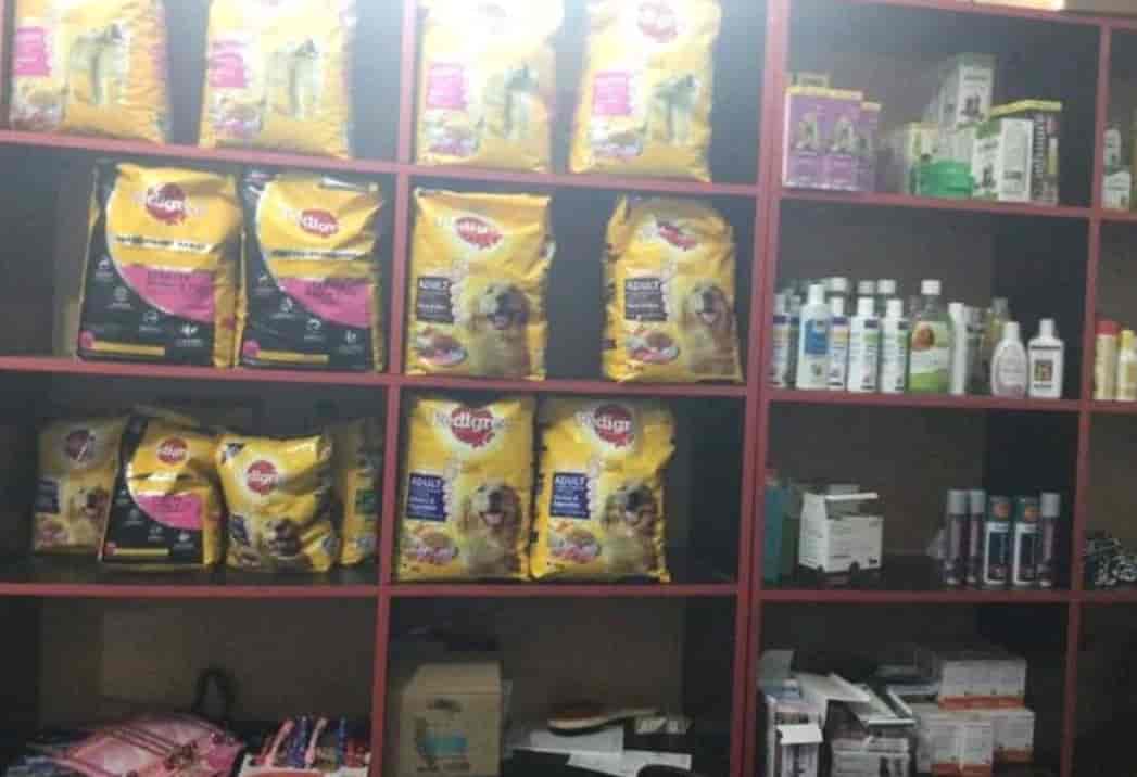 Top 10 On Call Veterinary Doctors in Coimbatore Best Veterinary Doctors At Home Book