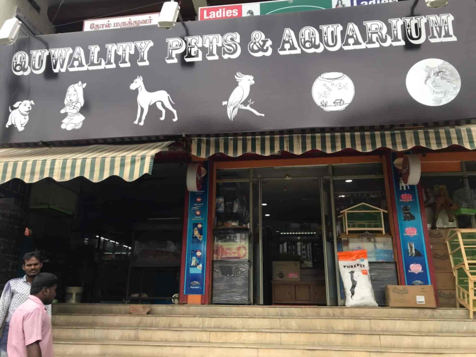 Quality Pets Aquarium in Kavundampalayam Coimbatore Best Pet Shops near me in Coimbatore Justdial