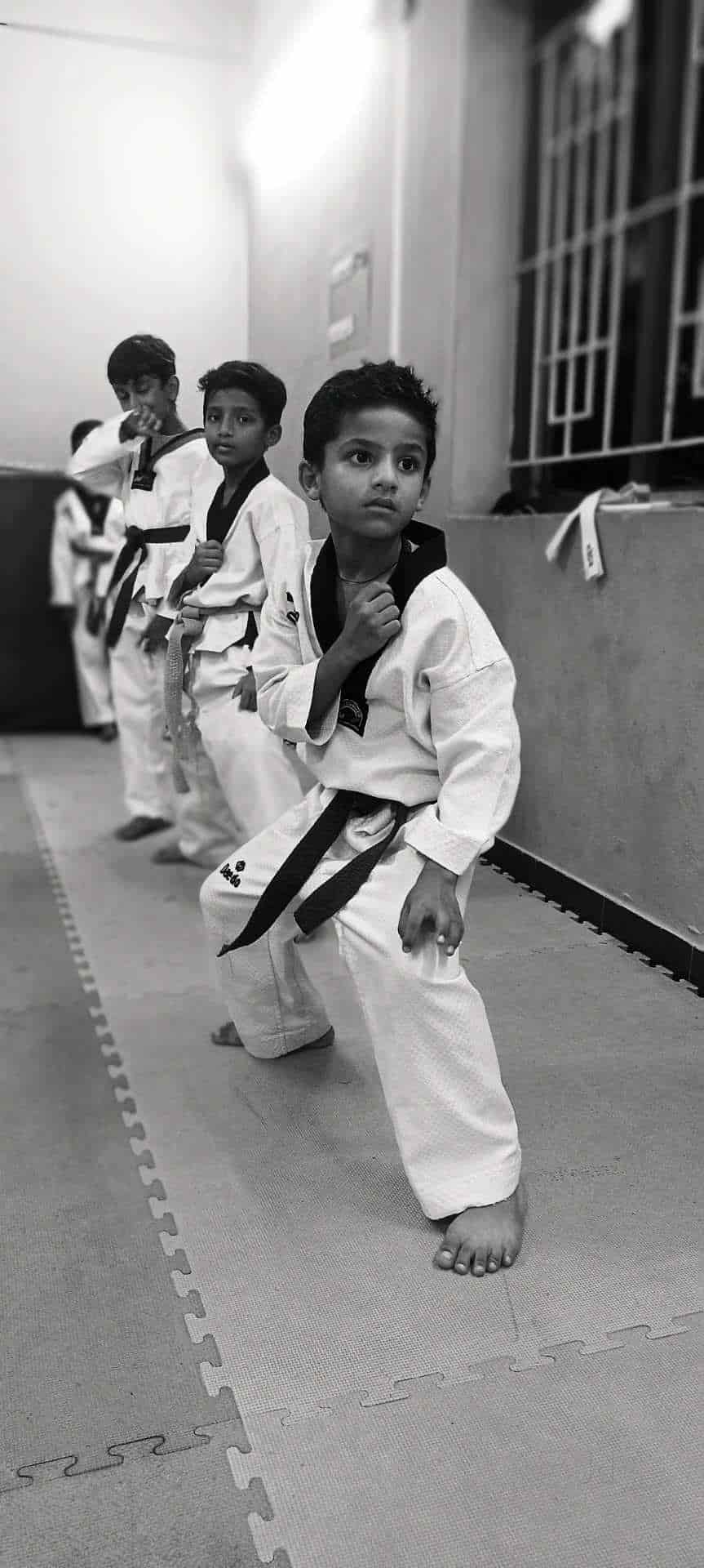 Top Taekwondo Classes in Neelambur Best Taekwondo Martial Art Classes Coimbatore near me