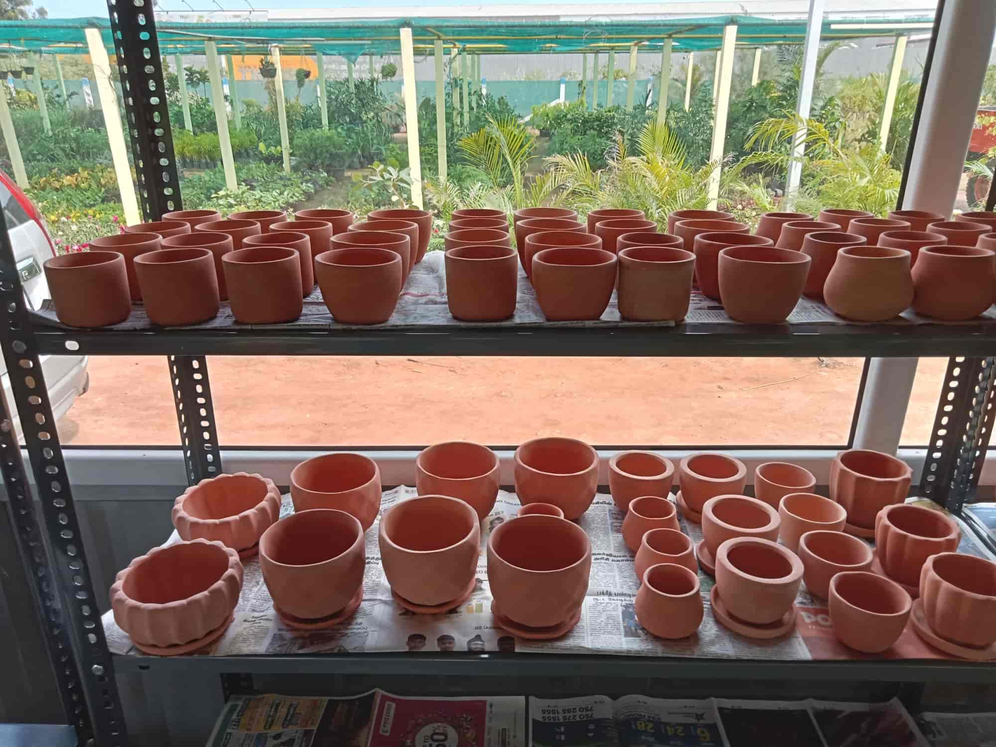 Top Fruit Plant Nurseries in Karamadai Best Custard Apple Plant Dealers Coimbatore near me