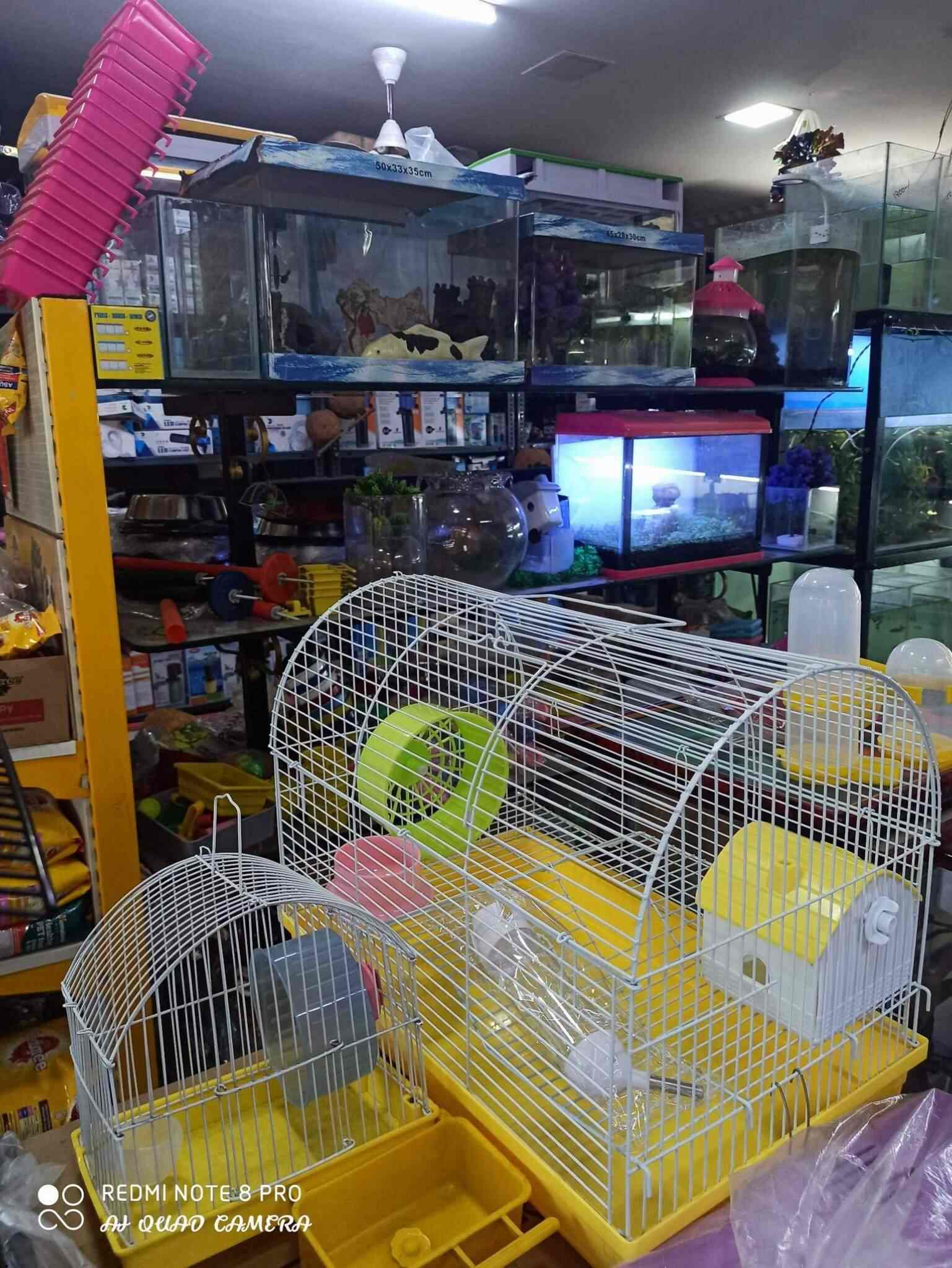 Top 100 Pet Shops In Coimbatore Best Pet Store Suppliers Justdial