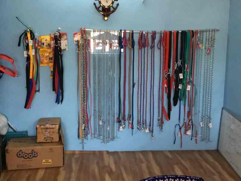 Top Pet Shops In Alandurai Coimbatore Best Pet Store Suppliers Justdial