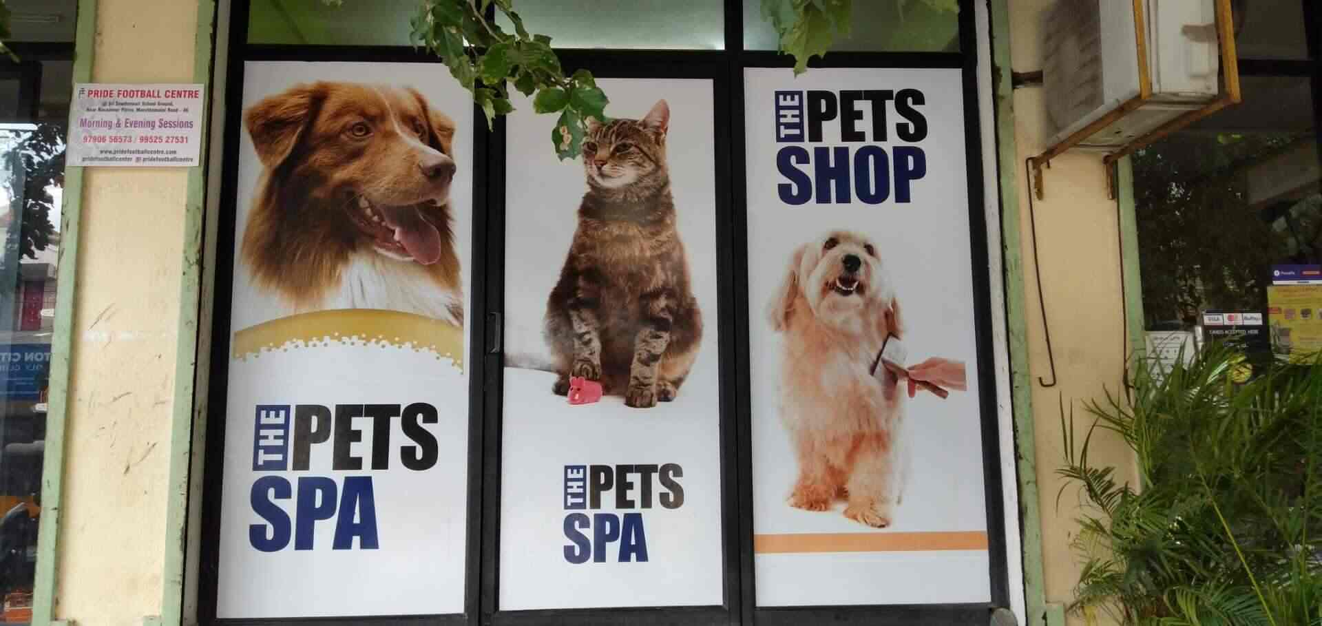 Pet spa near me new arrivals