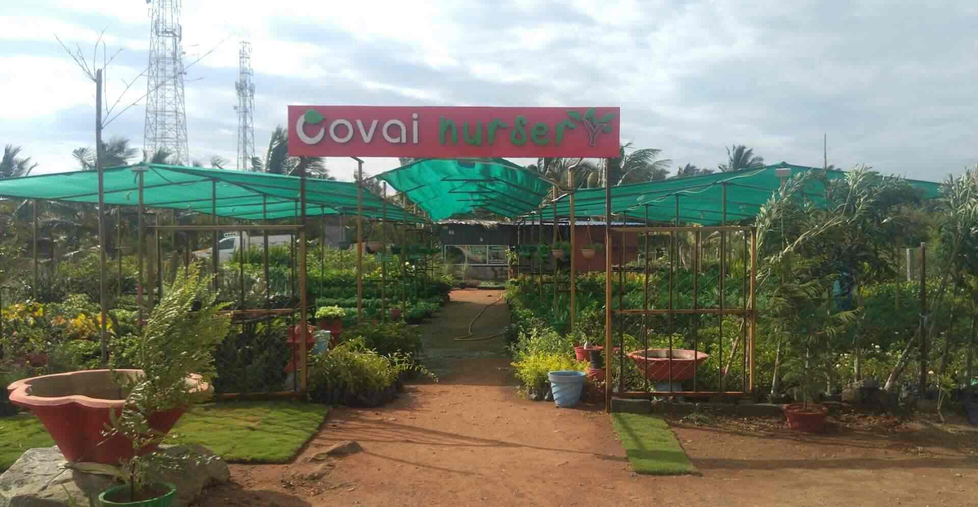 Covai Nursery & Landscape, Madukkarai Plant Nurseries in Coimbatore