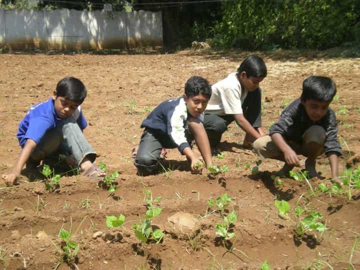 NGOS in Belladhi, Coimbatore ंगोस, बेल्लड़ी , कोइम्बटोरे Best NGOS